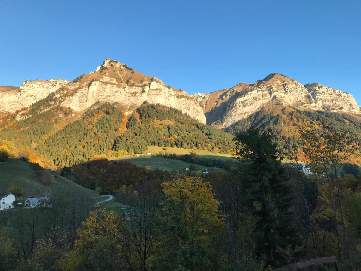 Magnifique T3 Entre Lac Et Montagne Pres D'Annecy Montmin Eksteriør bilde