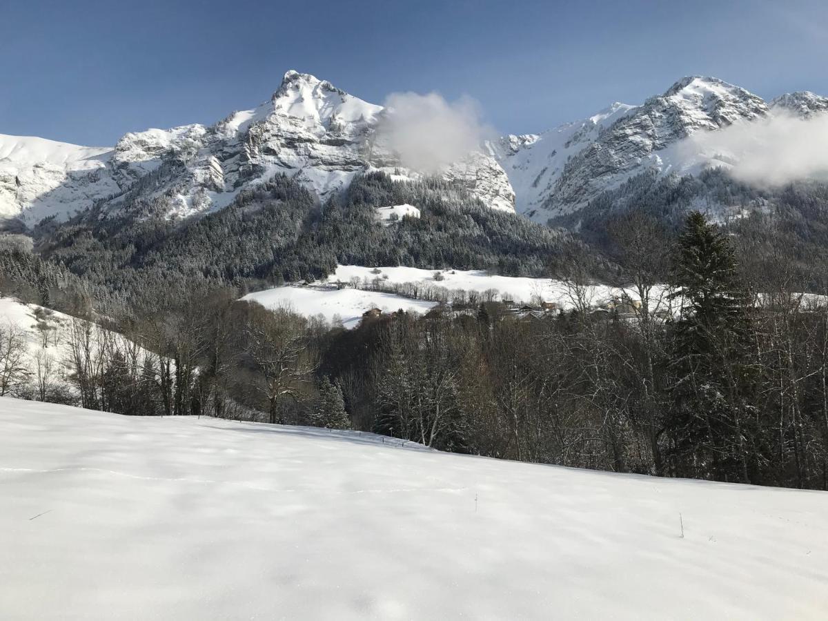 Magnifique T3 Entre Lac Et Montagne Pres D'Annecy Montmin Eksteriør bilde